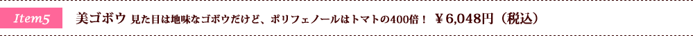 美ゴボウ 見た目は地味なゴボウだけど、ポリフェノールはトマトの400倍！ ￥6,048円（税込）