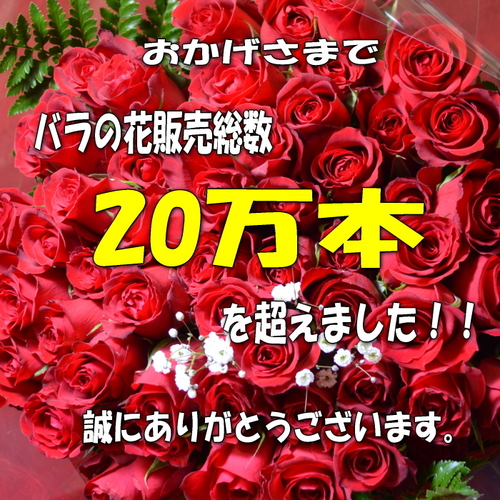 送料無料 ！薔薇*赤バラ花束 60本 還暦