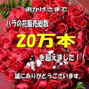 送料無料 ！赤バラ100本花束