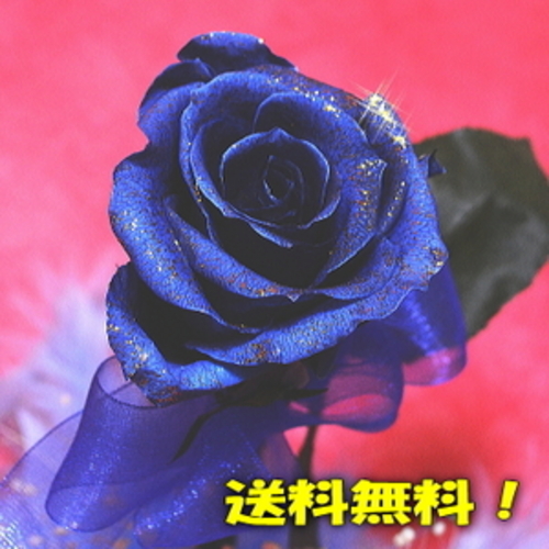 送料無料！プリザーブドフラワー　ステム付「青いバラ」枯れないお花