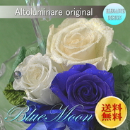 送料無料！プリザーブドフラワー「ブルームーン」暗くなるとほのかに光る枯れないお花