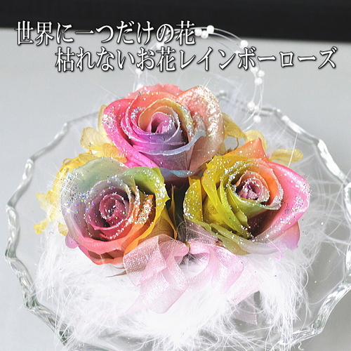 送料無料！プリザーブドフラワー「レインボードリーム」世界に一つだけの花　レインボーローズ