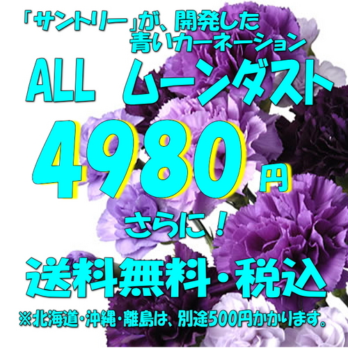 送料無料！サントリー　ムーンダストカーネーションの花束