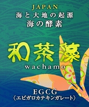 海と大地の贈り物　和茶藻　わちゃも  61 g（407mg×150カプセル）