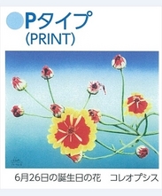 【オーダーメイド】　増田孝機の ”誕生日の花の絵”　Pタイプ（プリント）