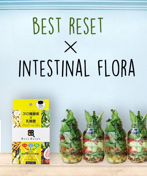 Best　Reset３１０種酵素×乳酸菌