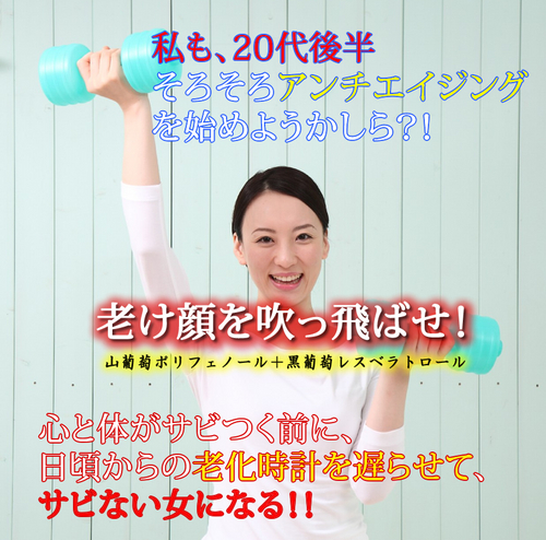 【送料・代引手数料無料】　黄金　山葡萄の極 30日分　120粒