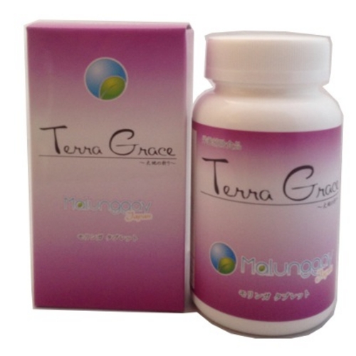 【送料無料】TerraGrace　モリンガタブレット