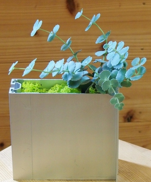 エアーボックス（ミセバヤ）　【白】　【ボタニカルボックス】　