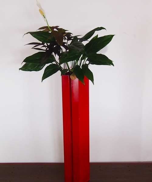 ボタニカル・ロングプラント　【赤】　【ボタニカルピラー】