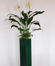 ボタニカル・ロングプラント　【深緑】　【ボタニカルピラー】