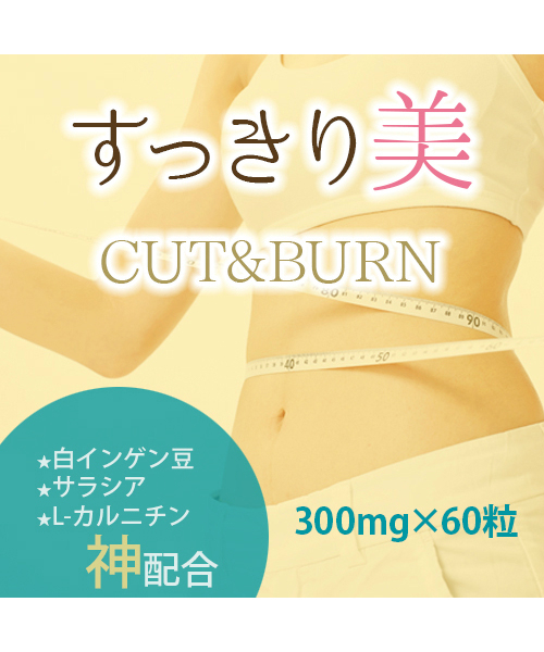 【送料無料】すっきり美 CUT＆BURN