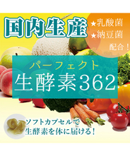 【送料無料】生酵素カプセル パーフェクト生酵素３６２