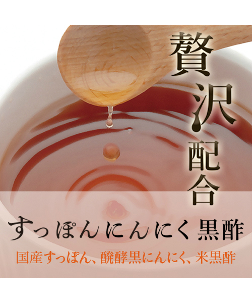 送料無料 贅沢配合すっぽんにんにく黒酢 サプリメント なし 株式会社リスタンス モアスタイル 読モお気に入り総合通販サイト