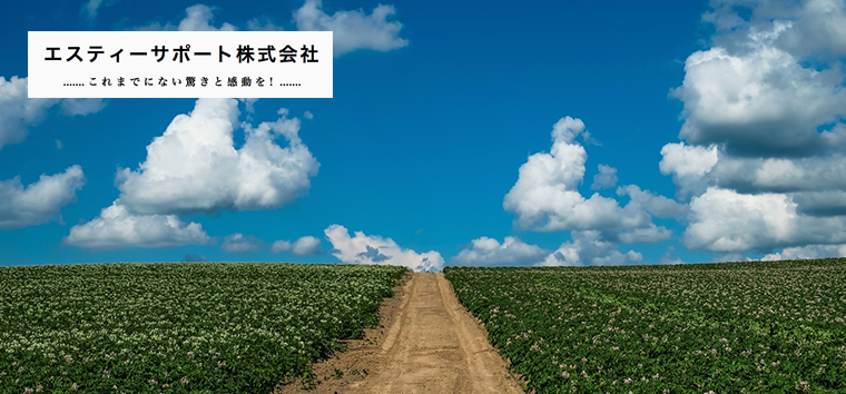 エスティーサポート