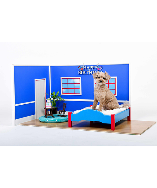 犬　手作り　ケージ　インテリア　家具　撮影用小物　ブルー