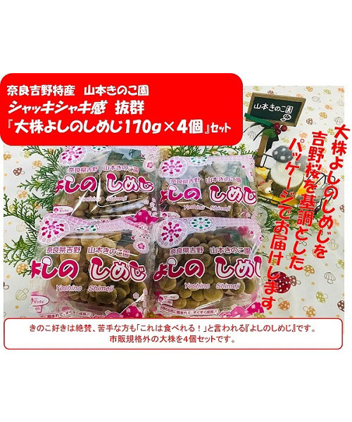 新鮮『大株よしのしめじ』170ｇ×４個セット　 シャキシャキ感抜群　 奈良吉野特産品